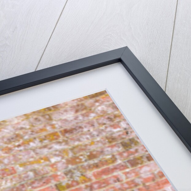 Brickwall by Assaf Frank